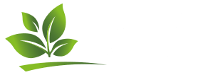 Aroma das Ervas